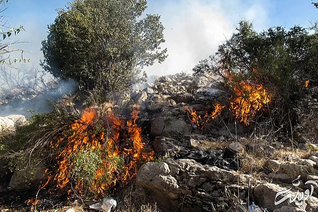 "ملکه ایران" سیاه بخت شد
